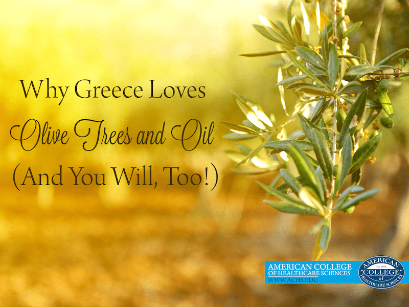 an olive tree branch in the background with text over it that says "why greece loves olive trees and oil (and you will too)"